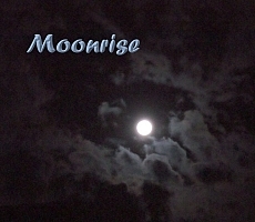 Projekt-CD Moonrise